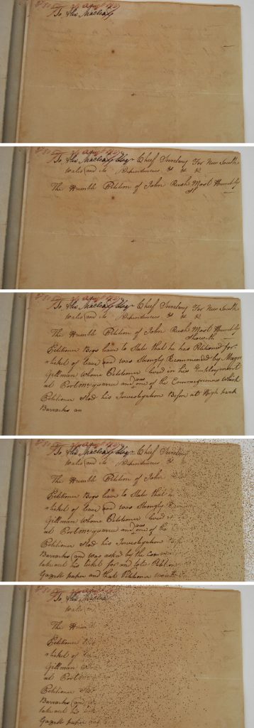 겸손한 탄원서 Humble Petition 싱글채널비디오 402 loop, full HD resolution, 가변크기, 2017