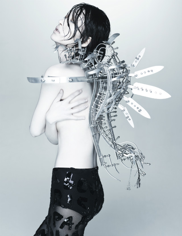 Defensive Measure0070_digital print_110x85cm_2014.jpg