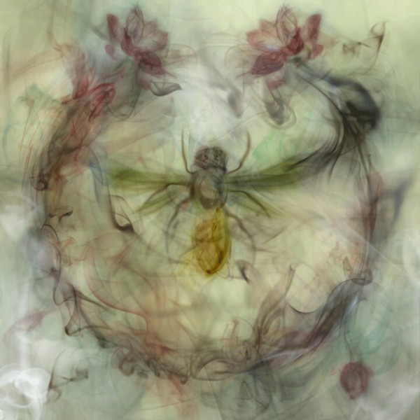 MJ갤러리 에서는 2015년 5월1일부터 6월30일까지 정안용전을 개최한다.