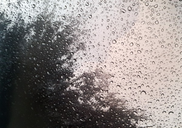 고정민 개인전 / 미나갤러리