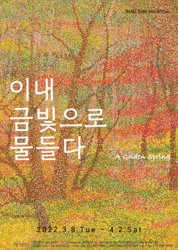 이내 금빛으로 물들다