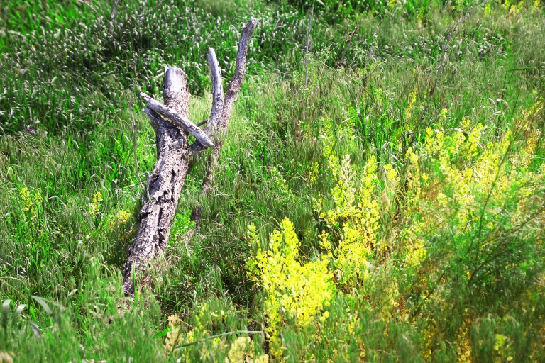 ba1e796befa9c6b3e4996b0dfa1ea09d_1780795049_281.jpg