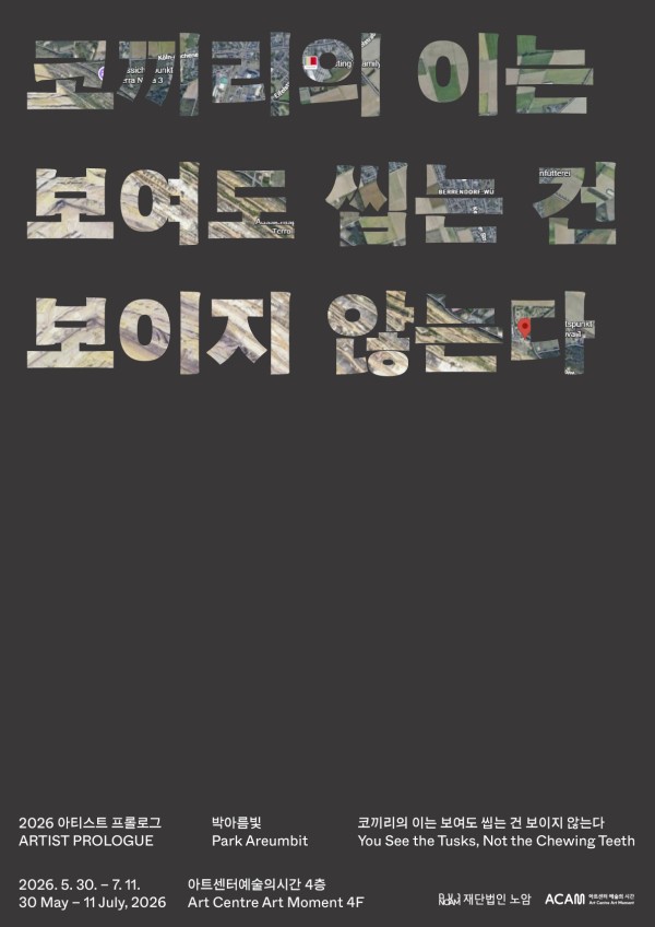박아름빛 개인전: 코끼리의 이는 보여도 씹는 건 보이지 않는다