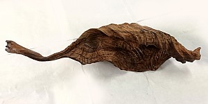 라병연