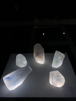 배진희
