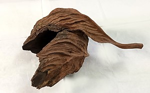 라병연