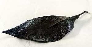 라병연